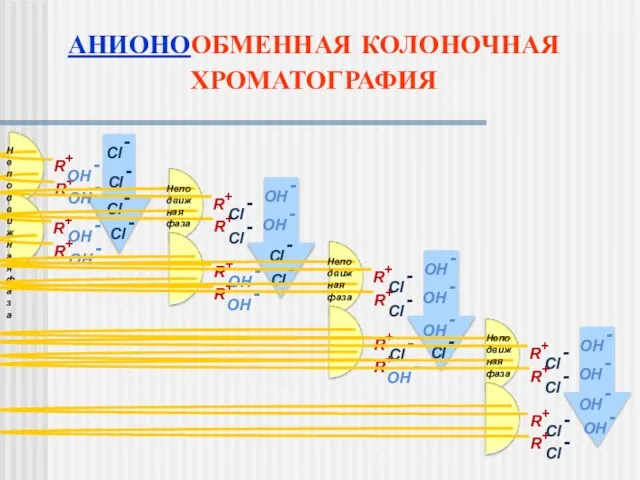 АНИОНООБМЕННАЯ КОЛОНОЧНАЯ ХРОМАТОГРАФИЯ