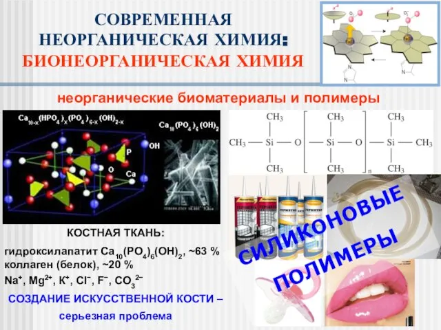 неорганические биоматериалы и полимеры СОВРЕМЕННАЯ НЕОРГАНИЧЕСКАЯ ХИМИЯ: БИОНЕОРГАНИЧЕСКАЯ ХИМИЯ КОСТНАЯ ТКАНЬ: гидроксилапатит