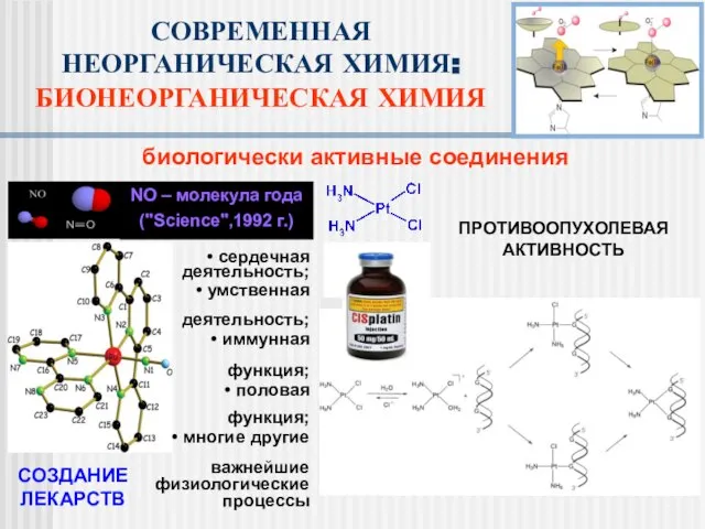 биологически активные соединения сердечная деятельность; умственная деятельность; иммунная функция; половая функция; многие