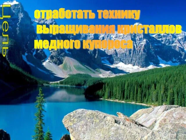 Цель отработать технику выращивания кристаллов медного купороса