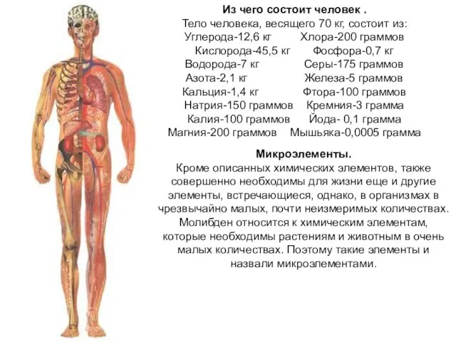 Из чего состоит человек . Тело человека, весящего 70 кг, состоит из: