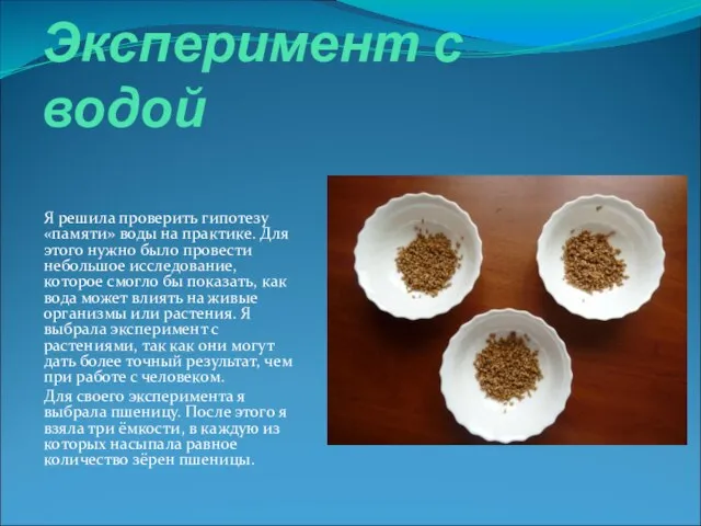 Эксперимент с водой Я решила проверить гипотезу «памяти» воды на практике. Для