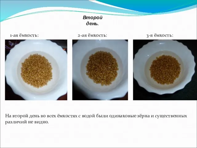 Второй день. 1-ая ёмкость: 2-ая ёмкость: 3-я ёмкость: На второй день во