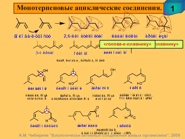 А.М. Чибиряев "Биологически активные соединения живых организмов", 2009 Монотерпеновые ациклические соединения. 1 «голова-к-плавнику» «голова-к-плавнику»