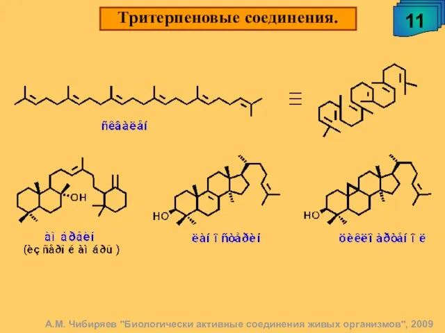 Тритерпеновые соединения. 11 А.М. Чибиряев "Биологически активные соединения живых организмов", 2009