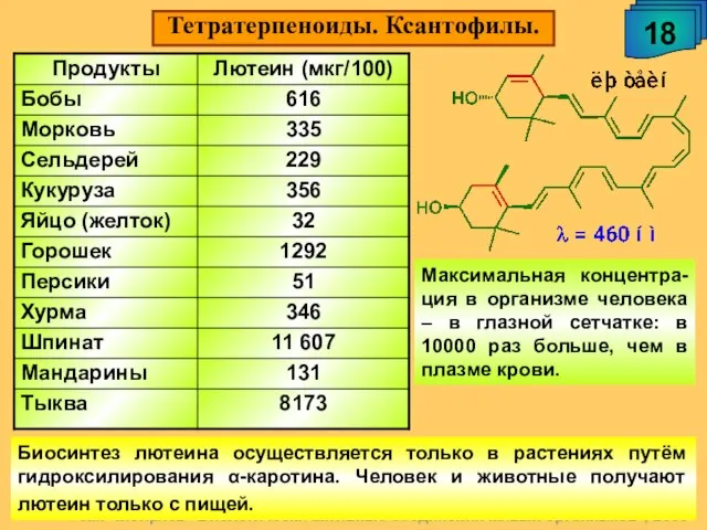 А.М. Чибиряев "Биологически активные соединения живых организмов", 2009 18 Тетратерпеноиды. Ксантофилы. Биосинтез