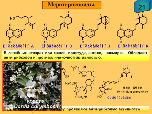 А.М. Чибиряев "Биологически активные соединения живых организмов", 2009 Меротерпеноиды. 21 В лечебных