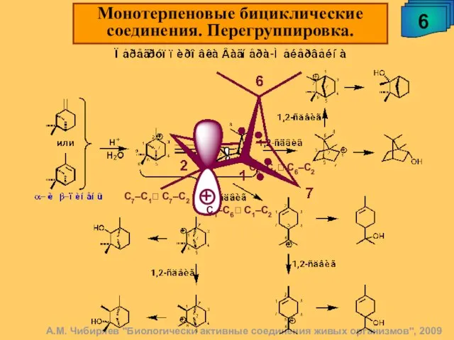 А.М. Чибиряев "Биологически активные соединения живых организмов", 2009 Монотерпеновые бициклические соединения. Перегруппировка.