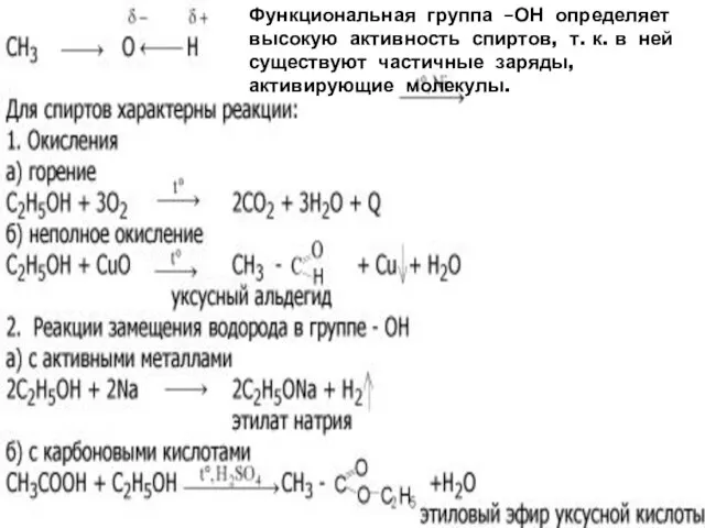 Функциональная группа –ОН определяет высокую активность спиртов, т. к. в ней существуют частичные заряды, активирующие молекулы.