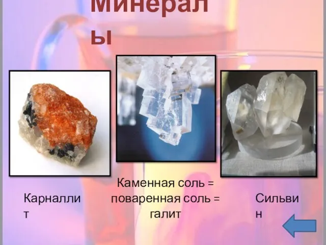Минералы Каменная соль = поваренная соль = галит Карналлит Сильвин