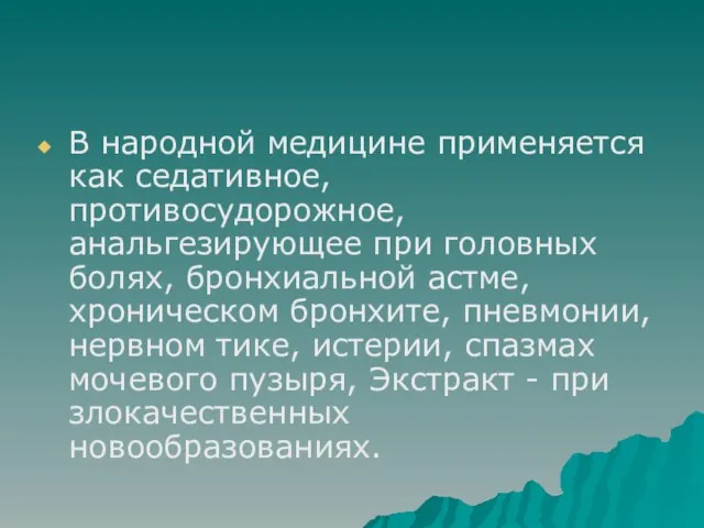 В народной медицине применяется как седативное, противосудорожное, анальгезирующее при головных болях, бронхиальной