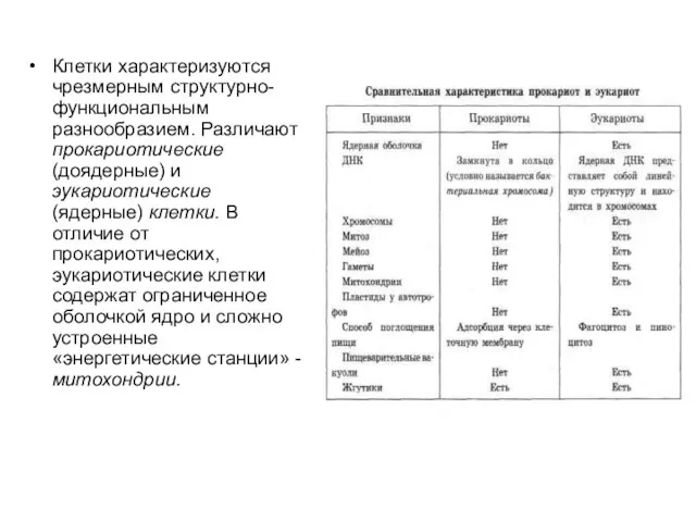 Клетки характеризуются чрезмерным структурно-функциональным разнообразием. Различают прокариотические (доядерные) и эукариотические (ядерные) клетки.