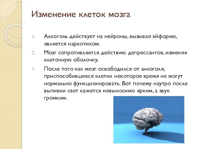 Изменение клеток мозга Алкоголь действует на нейроны, вызывая эйфорию, является наркотиком. Мозг