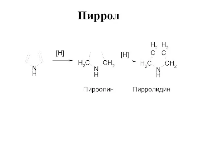 Пиррол Пирролин Пирролидин