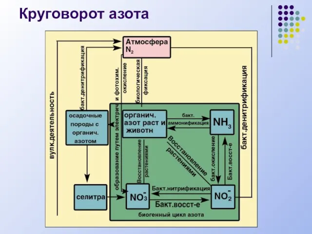 Круговорот азота