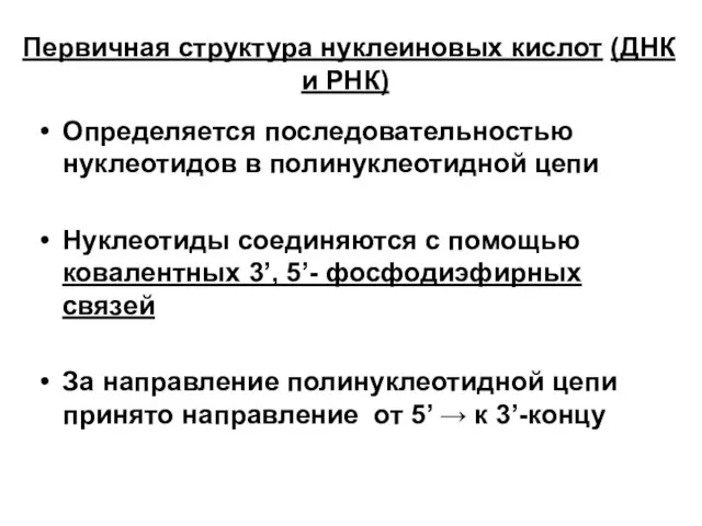 Первичная структура нуклеиновых кислот (ДНК и РНК) Определяется последовательностью нуклеотидов в полинуклеотидной