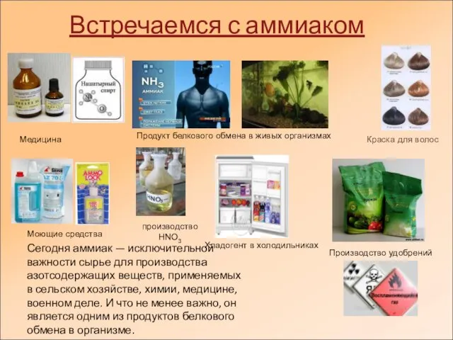 Встречаемся с аммиаком производство HNO3 Медицина Продукт белкового обмена в живых организмах