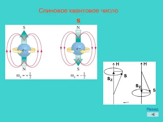 Спиновое квантовое число s Назад