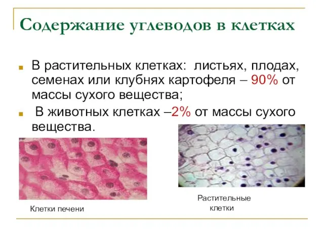 Содержание углеводов в клетках В растительных клетках: листьях, плодах, семенах или клубнях