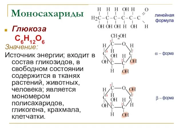 Глюкоза С6Н12О6 Значение: Источник энергии; входит в состав гликозидов, в свободном состоянии