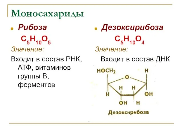 Моносахариды Рибоза С5Н10О5 Значение: Входит в состав РНК, АТФ, витаминов группы В,