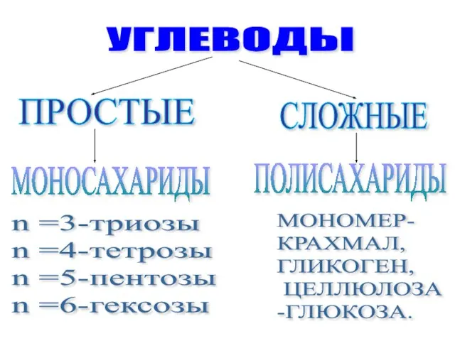 УГЛЕВОДЫ ПРОСТЫЕ СЛОЖНЫЕ МОНОСАХАРИДЫ n =3-триозы n =4-тетрозы n =5-пентозы n =6-гексозы