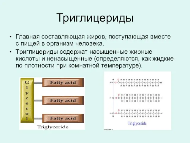 Триглицериды Главная составляющая жиров, поступающая вместе с пищей в организм человека. Триглицериды