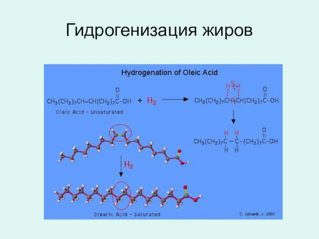 Гидрогенизация жиров