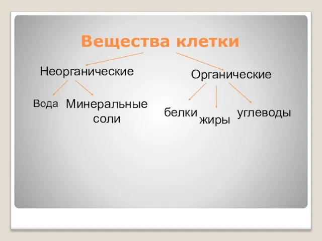 Вещества клетки Неорганические Органические Вода Минеральные соли белки жиры углеводы