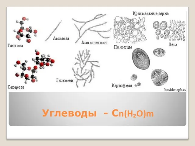 Углеводы - Cn(H₂O)m