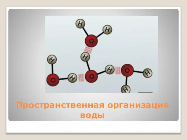 Пространственная организация воды