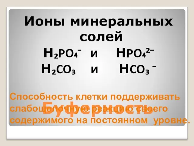 Буферность Ионы минеральных солей H₂PO₄⁻ и HPO₄²⁻ H₂CO₃ и HCO₃ ⁻ Способность