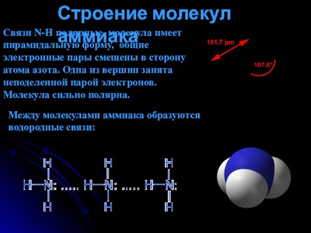 Строение молекул аммиака Между молекулами аммиака образуются водородные связи: Связи N-H полярные,