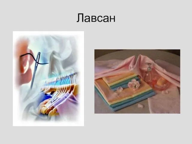 Лавсан