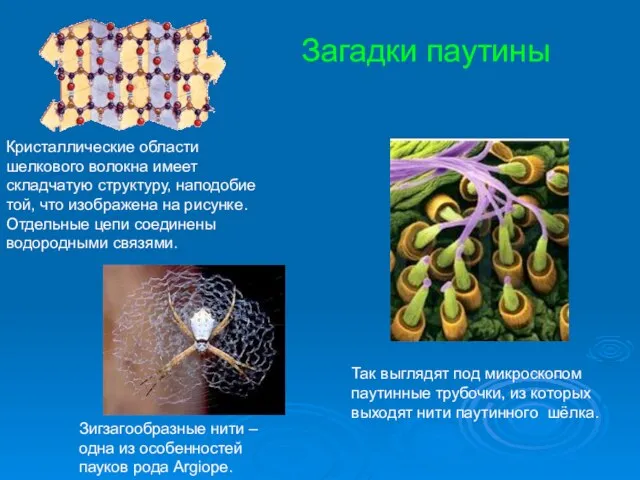 Кристаллические области шелкового волокна имеет складчатую структуру, наподобие той, что изображена на