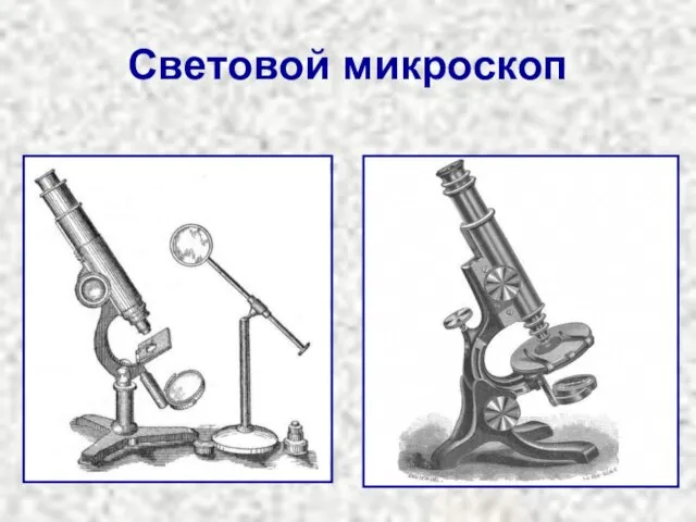 Световой микроскоп