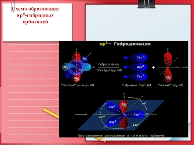 Схема образования sp2-гибридных орбиталей