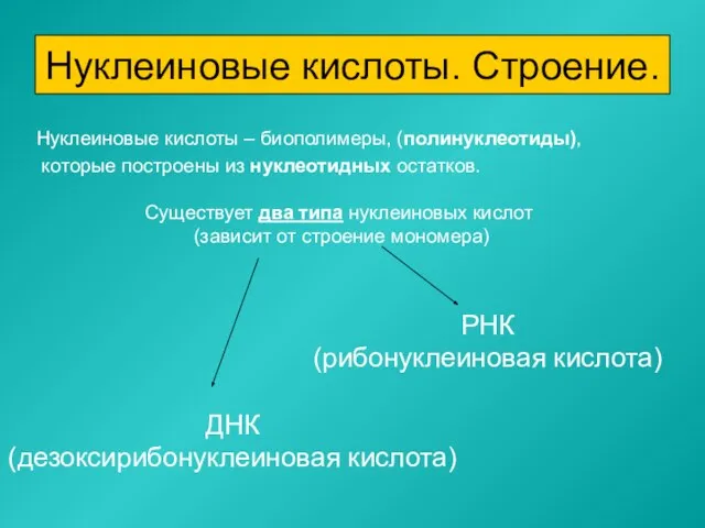 Нуклеиновые кислоты – биополимеры, (полинуклеотиды), которые построены из нуклеотидных остатков. Нуклеиновые кислоты.