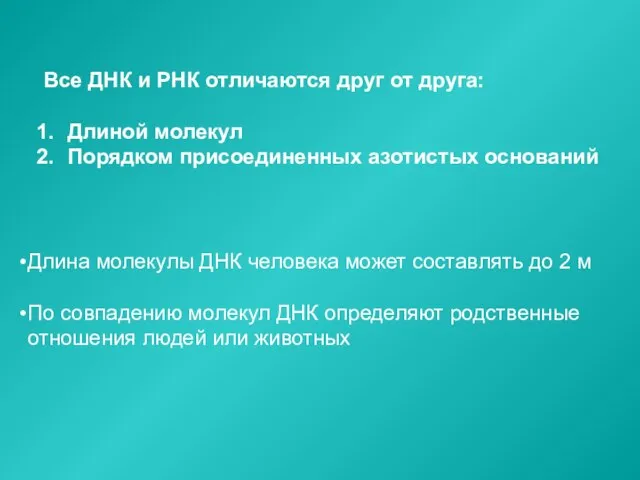 Все ДНК и РНК отличаются друг от друга: Длиной молекул Порядком присоединенных