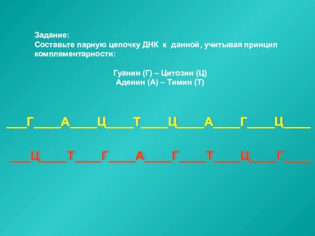 Задание: Составьте парную цепочку ДНК к данной, учитывая принцип комплементарности: Гуанин (Г)