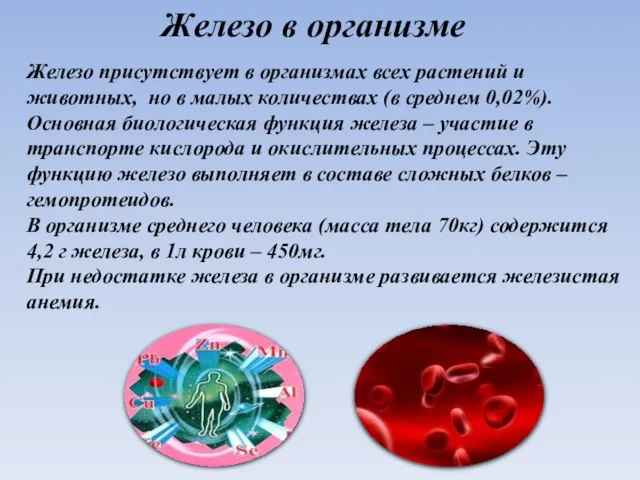 Железо в организме Железо присутствует в организмах всех растений и животных, но