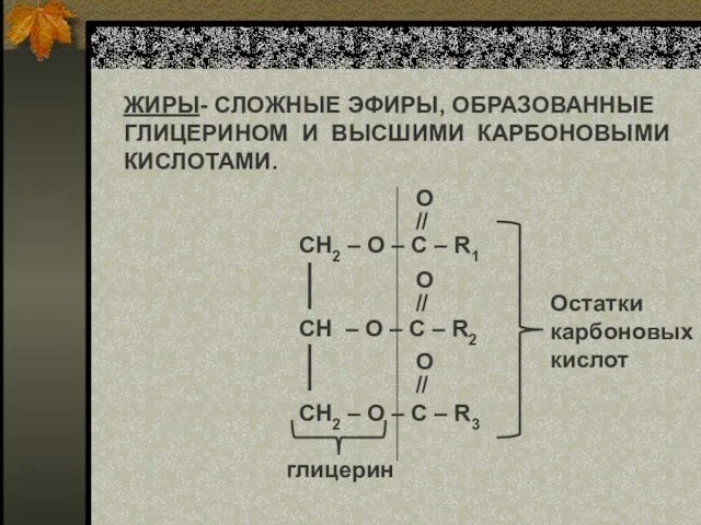 ЖИРЫ- СЛОЖНЫЕ ЭФИРЫ, ОБРАЗОВАННЫЕ ГЛИЦЕРИНОМ И ВЫСШИМИ КАРБОНОВЫМИ КИСЛОТАМИ. СН2 – О