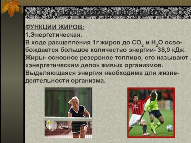 БИОЛОГИЧЕСКАЯ РОЛЬ ЖИРОВ. ФУНКЦИИ ЖИРОВ: 1.Энергетическая. В ходе расщепления 1г жиров до