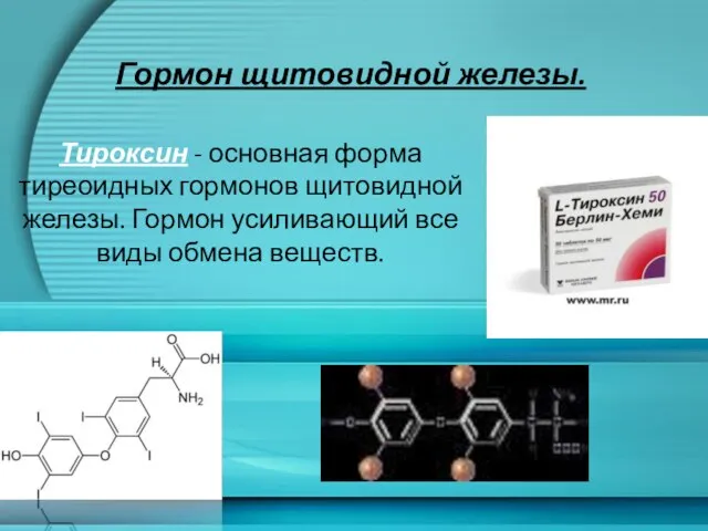 Гормон щитовидной железы. Тироксин - основная форма тиреоидных гормонов щитовидной железы. Гормон