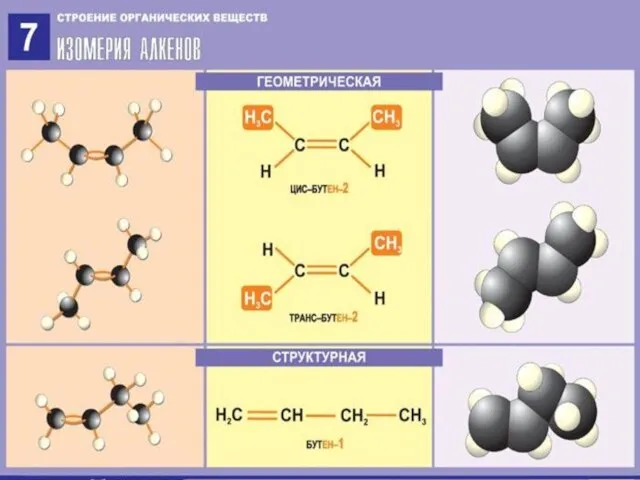 Изомерия алкенов
