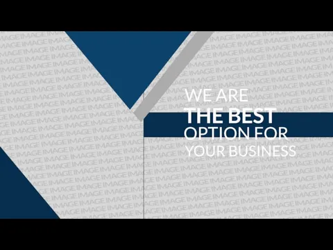 WE ARE THE BEST OPTION FOR YOUR BUSINESS