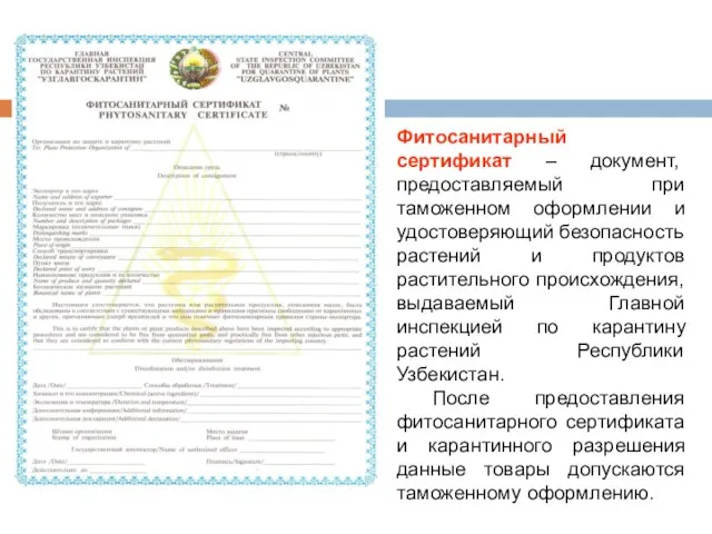 Фитосанитарный сертификат – документ, предоставляемый при таможенном оформлении и удостоверяющий безопасность растений