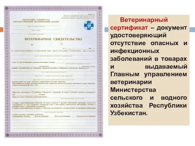 Ветеринарный сертификат – документ удостоверяющий отсутствие опасных и инфекционных заболеваний в товарах