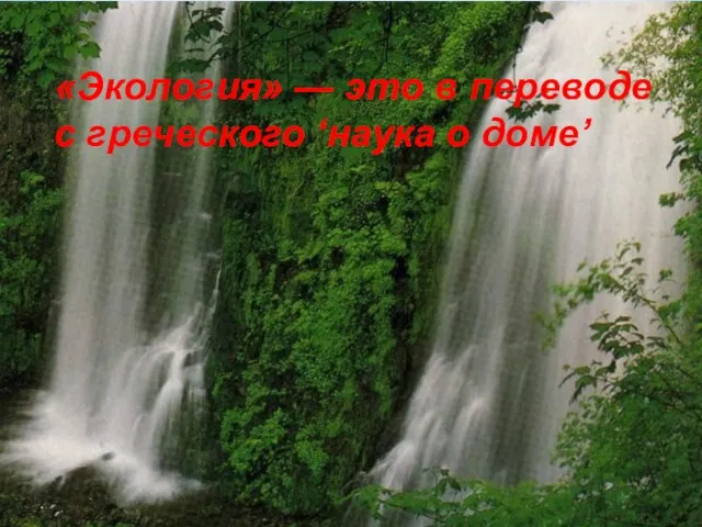 «Экология» — это в переводе с греческого ‘наука о доме’