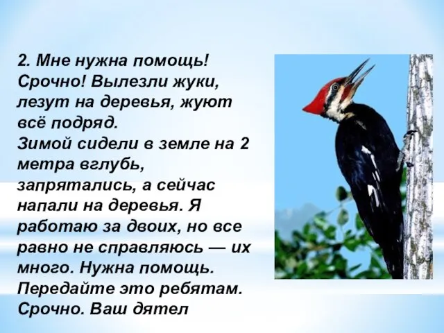 2. Мне нужна помощь! Срочно! Вылезли жуки, лезут на деревья, жуют всё